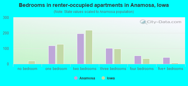 Bedrooms in renter-occupied apartments in Anamosa, Iowa