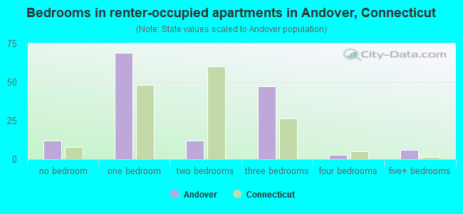 Bedrooms in renter-occupied apartments in Andover, Connecticut