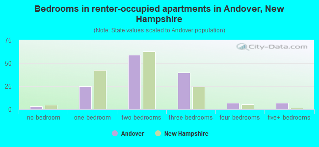 Bedrooms in renter-occupied apartments in Andover, New Hampshire