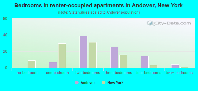 Bedrooms in renter-occupied apartments in Andover, New York