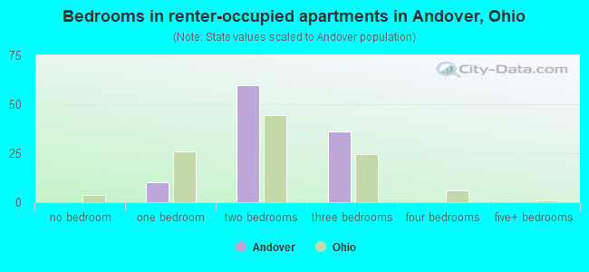 Bedrooms in renter-occupied apartments in Andover, Ohio