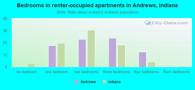 Bedrooms in renter-occupied apartments in Andrews, Indiana