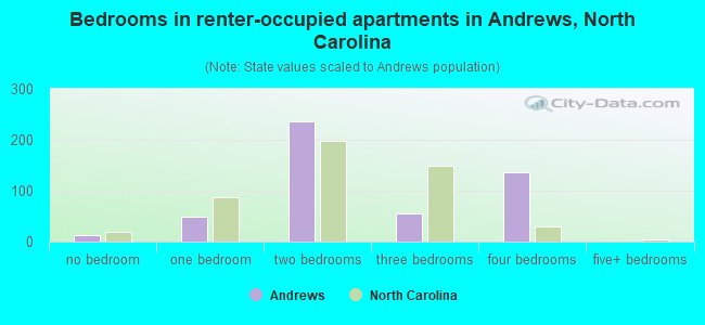 Bedrooms in renter-occupied apartments in Andrews, North Carolina