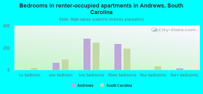 Bedrooms in renter-occupied apartments in Andrews, South Carolina