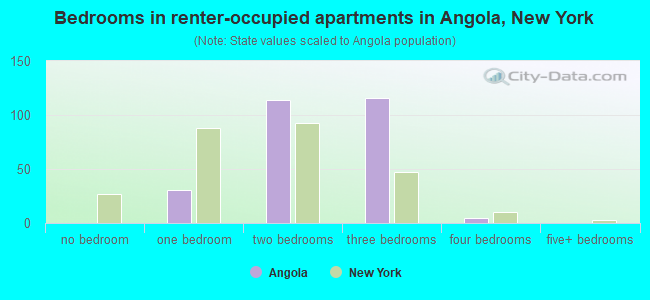 Bedrooms in renter-occupied apartments in Angola, New York