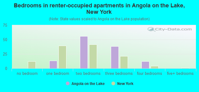 Bedrooms in renter-occupied apartments in Angola on the Lake, New York