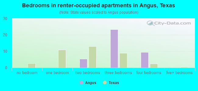Bedrooms in renter-occupied apartments in Angus, Texas