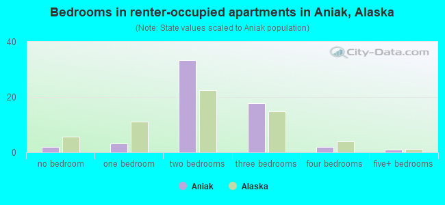 Bedrooms in renter-occupied apartments in Aniak, Alaska