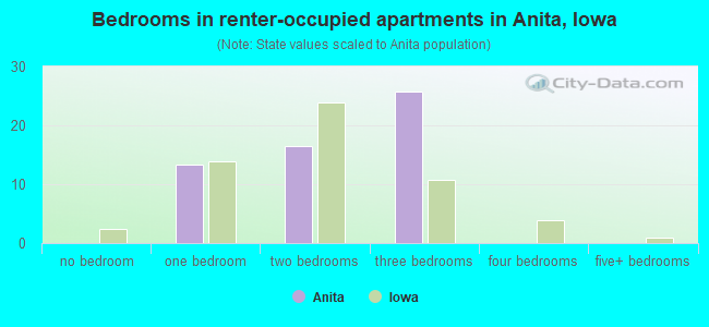 Bedrooms in renter-occupied apartments in Anita, Iowa