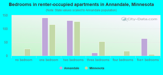 Bedrooms in renter-occupied apartments in Annandale, Minnesota