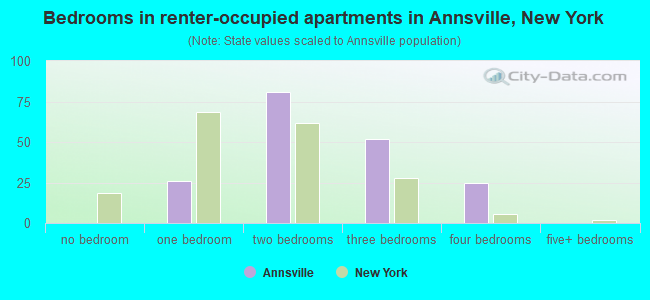 Bedrooms in renter-occupied apartments in Annsville, New York