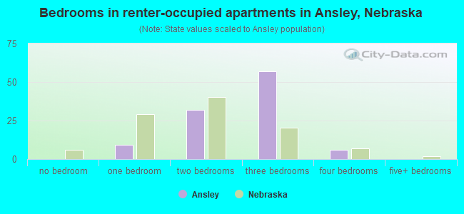 Bedrooms in renter-occupied apartments in Ansley, Nebraska