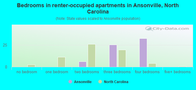 Bedrooms in renter-occupied apartments in Ansonville, North Carolina