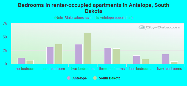 Bedrooms in renter-occupied apartments in Antelope, South Dakota