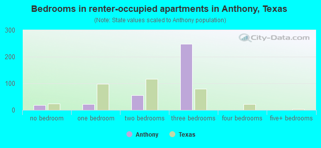 Bedrooms in renter-occupied apartments in Anthony, Texas