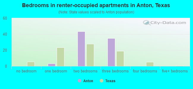 Bedrooms in renter-occupied apartments in Anton, Texas