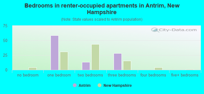 Bedrooms in renter-occupied apartments in Antrim, New Hampshire