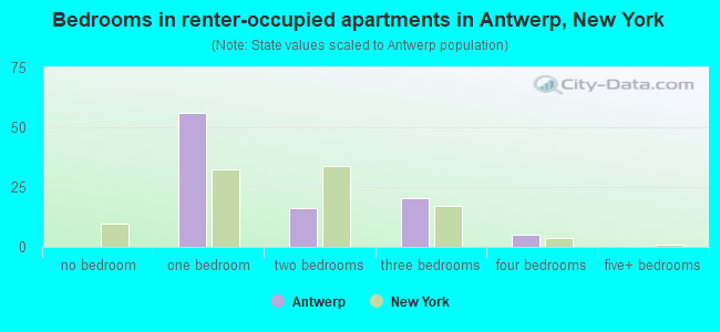 Bedrooms in renter-occupied apartments in Antwerp, New York