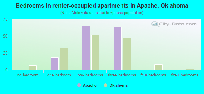 Bedrooms in renter-occupied apartments in Apache, Oklahoma