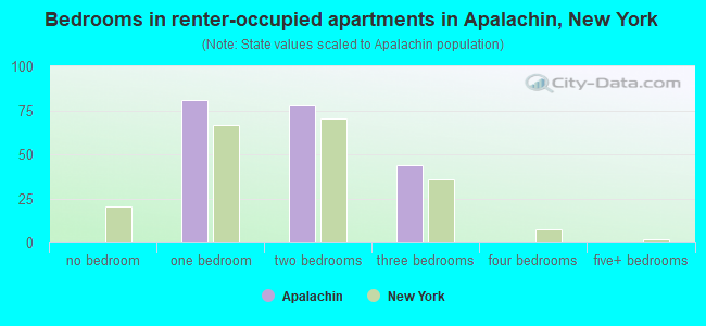 Bedrooms in renter-occupied apartments in Apalachin, New York