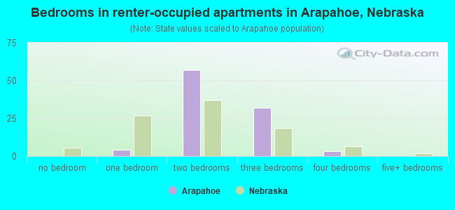 Bedrooms in renter-occupied apartments in Arapahoe, Nebraska