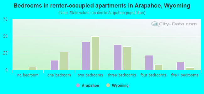 Bedrooms in renter-occupied apartments in Arapahoe, Wyoming