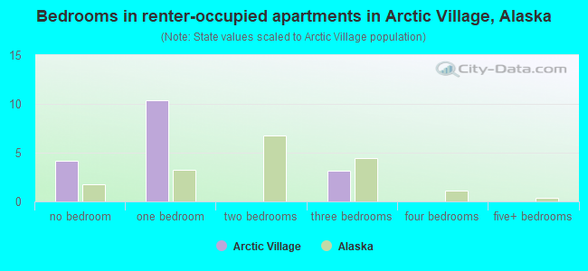 Bedrooms in renter-occupied apartments in Arctic Village, Alaska