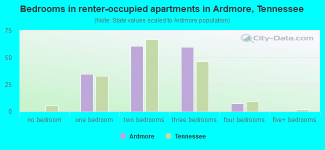 Bedrooms in renter-occupied apartments in Ardmore, Tennessee