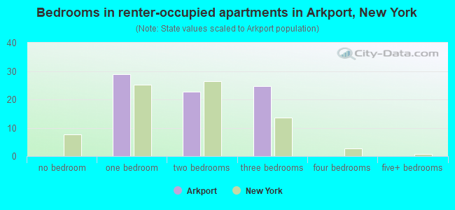 Bedrooms in renter-occupied apartments in Arkport, New York