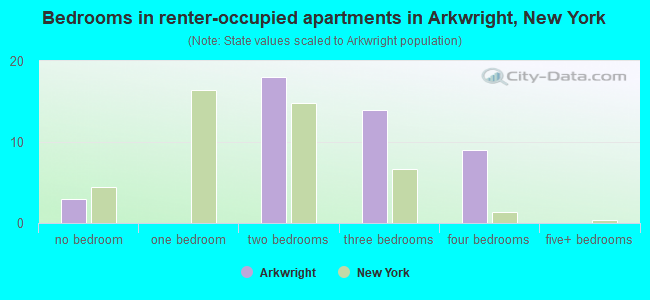 Bedrooms in renter-occupied apartments in Arkwright, New York