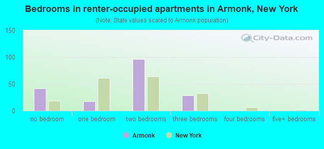 Bedrooms in renter-occupied apartments in Armonk, New York