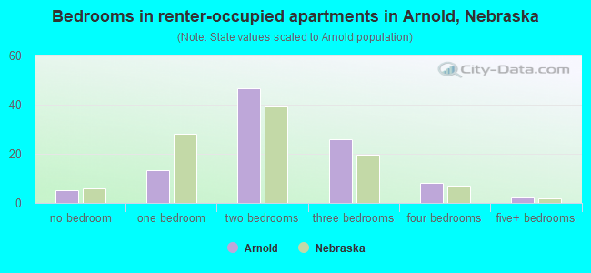 Bedrooms in renter-occupied apartments in Arnold, Nebraska