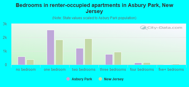 Bedrooms in renter-occupied apartments in Asbury Park, New Jersey