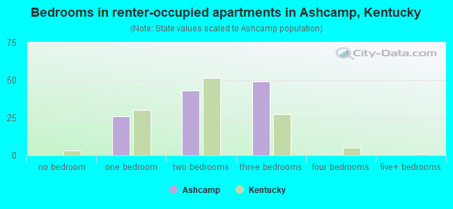 Bedrooms in renter-occupied apartments in Ashcamp, Kentucky