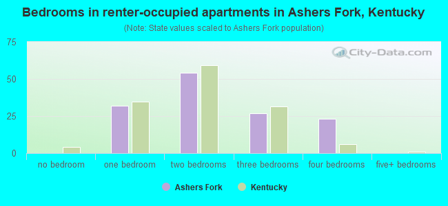 Bedrooms in renter-occupied apartments in Ashers Fork, Kentucky