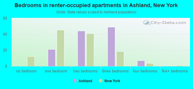 Bedrooms in renter-occupied apartments in Ashland, New York