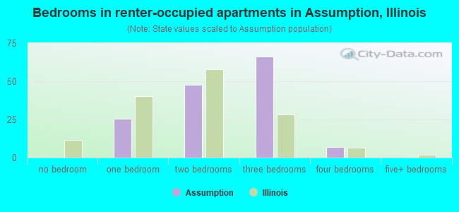 Bedrooms in renter-occupied apartments in Assumption, Illinois