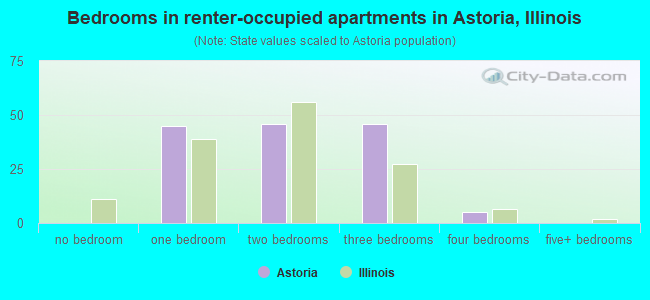 Bedrooms in renter-occupied apartments in Astoria, Illinois