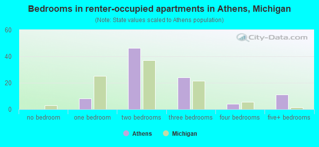 Bedrooms in renter-occupied apartments in Athens, Michigan