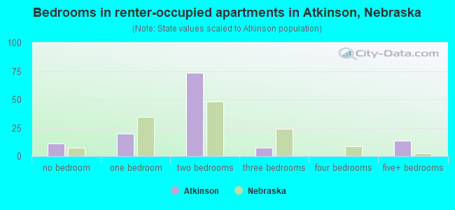 Bedrooms in renter-occupied apartments in Atkinson, Nebraska