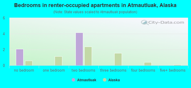 Bedrooms in renter-occupied apartments in Atmautluak, Alaska
