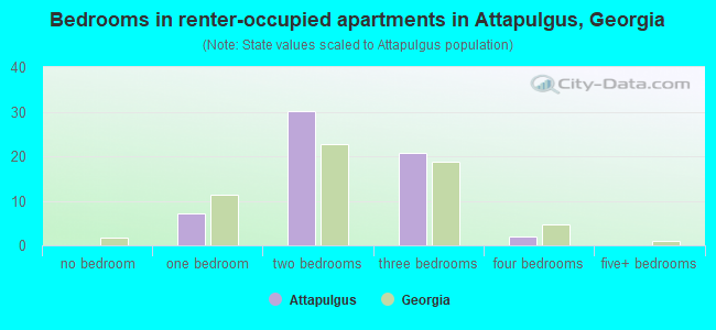 Bedrooms in renter-occupied apartments in Attapulgus, Georgia
