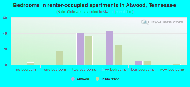 Bedrooms in renter-occupied apartments in Atwood, Tennessee