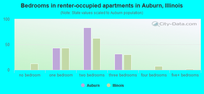 Bedrooms in renter-occupied apartments in Auburn, Illinois