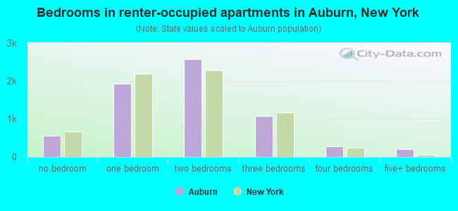 Bedrooms in renter-occupied apartments in Auburn, New York