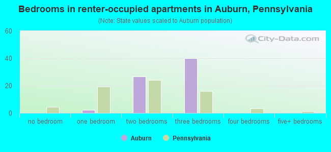 Bedrooms in renter-occupied apartments in Auburn, Pennsylvania