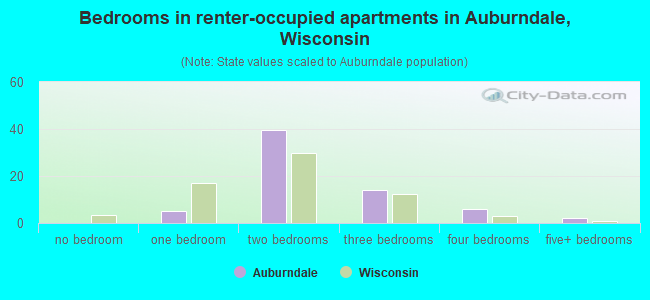 Bedrooms in renter-occupied apartments in Auburndale, Wisconsin