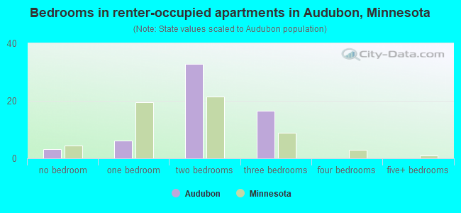 Bedrooms in renter-occupied apartments in Audubon, Minnesota