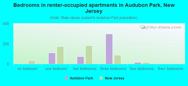 Bedrooms in renter-occupied apartments in Audubon Park, New Jersey
