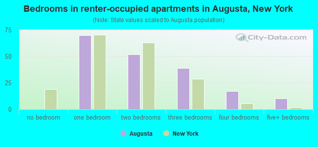 Bedrooms in renter-occupied apartments in Augusta, New York